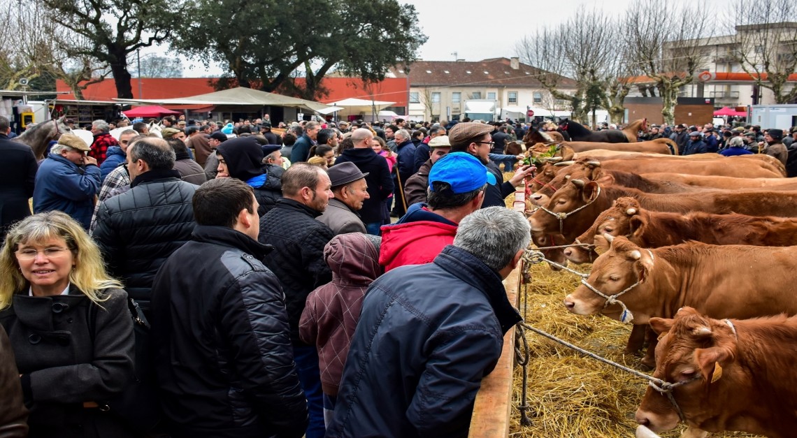 Três dias de festa na Vila de Prado para a centenária Feira dos Vinte