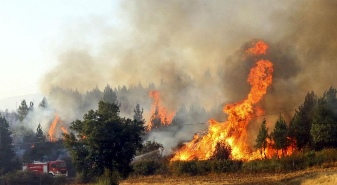 Prevenção de incêndios. Saiba quais as regras para proteger os terrenos