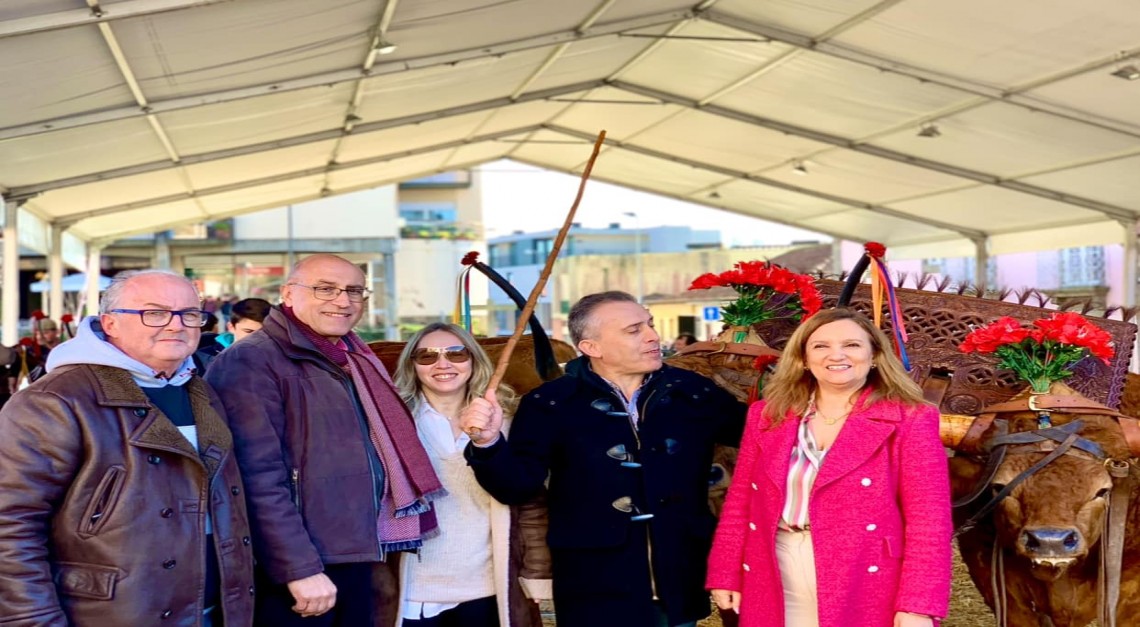 Feira dos Vinte 2024